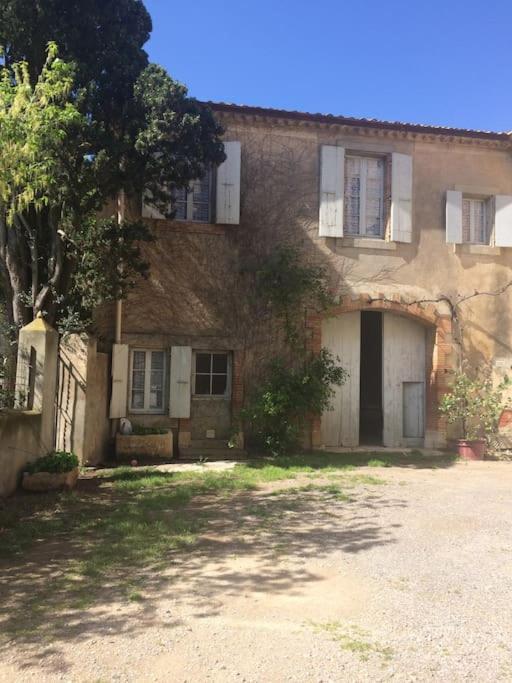 Sigean - Maison Domaine Viticole, 6 Km De La Mer Ngoại thất bức ảnh